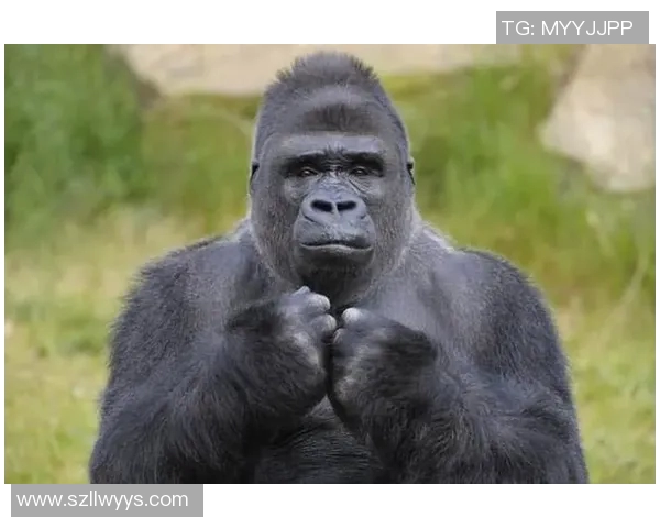 塔勒瑞斯与竞技的巅峰对决谁能笑到最后揭开胜负之谜